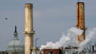 ‘Americans Are Waking Up’: Two Thirds Say Climate Crisis Must Be Addressed