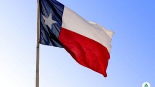 Why Are Texas Electric Rates So High? (2024 Guide)