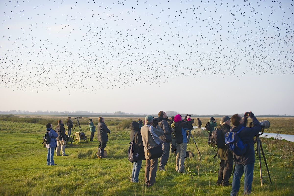 Birdwatchers at Snettisham RSPB Reserve in Norfolk, England