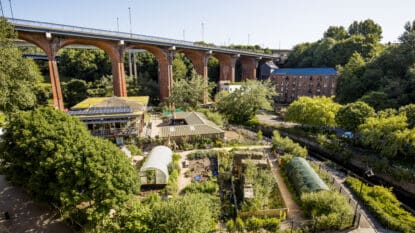 Urban Gardening 101: Everything You Need to Know