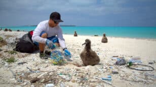 Ocean Cleanup 101: Everything You Need to Know