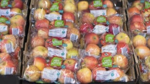 Plastics Contain Thousands More Chemicals Than Previously Thought, Report Finds
