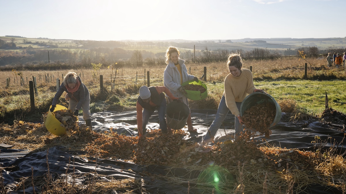 Volunteers on a community garden prepare for the winter by adding shredded brown leaves that will immediately go to work keeping soil and roots warmer, retaining moisture, preventing weeds and eventually breaking down into organic compost for the soil